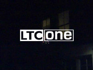 ltconeident-christmastree1.jpg