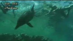 20050522-aqualounge.jpg
